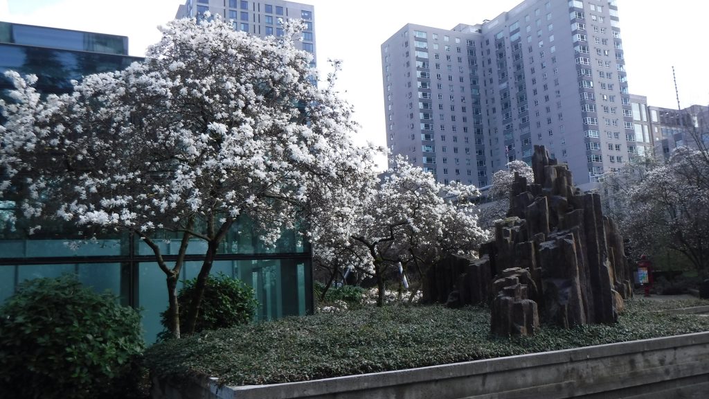 spring in seattle