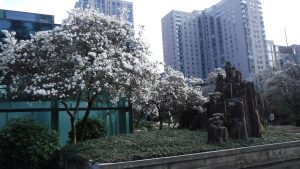 spring in seattle