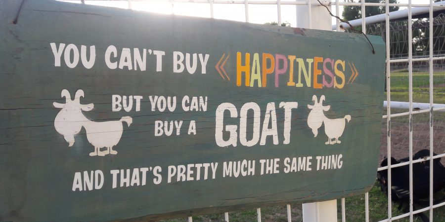 goat yoga sign