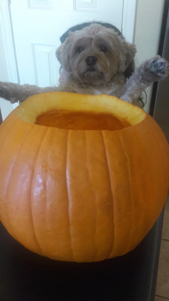 Pumpkin