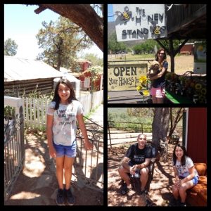day trip