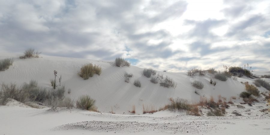 sand dune in White Sands