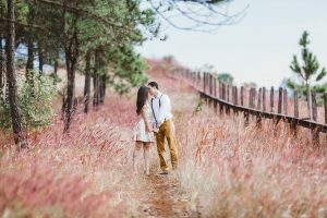 a couple kissing in a field
