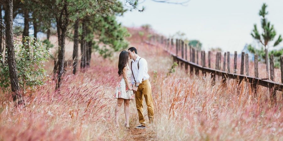 a couple kissing in a field