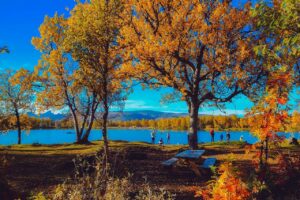 Celebrating National Stepfamily Day in the fall
